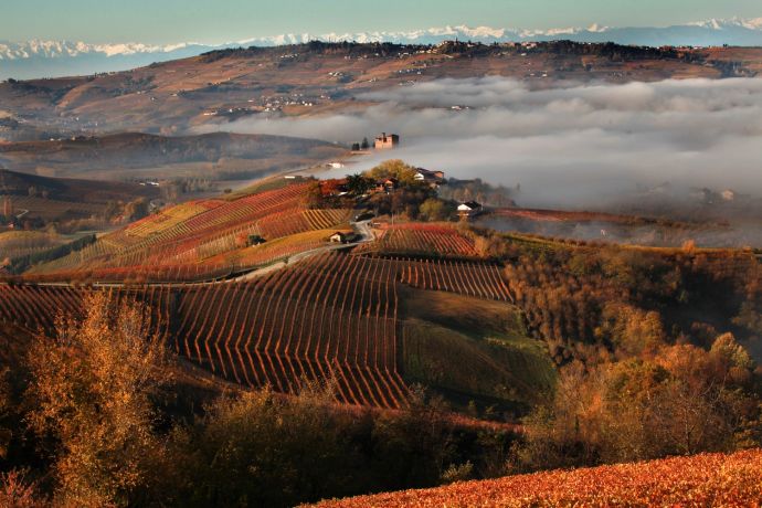 BARBARESCO